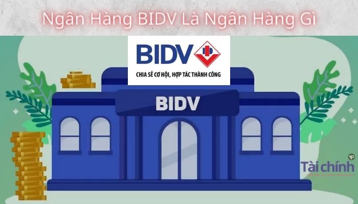 thuyết minh báo cáo tài chính 